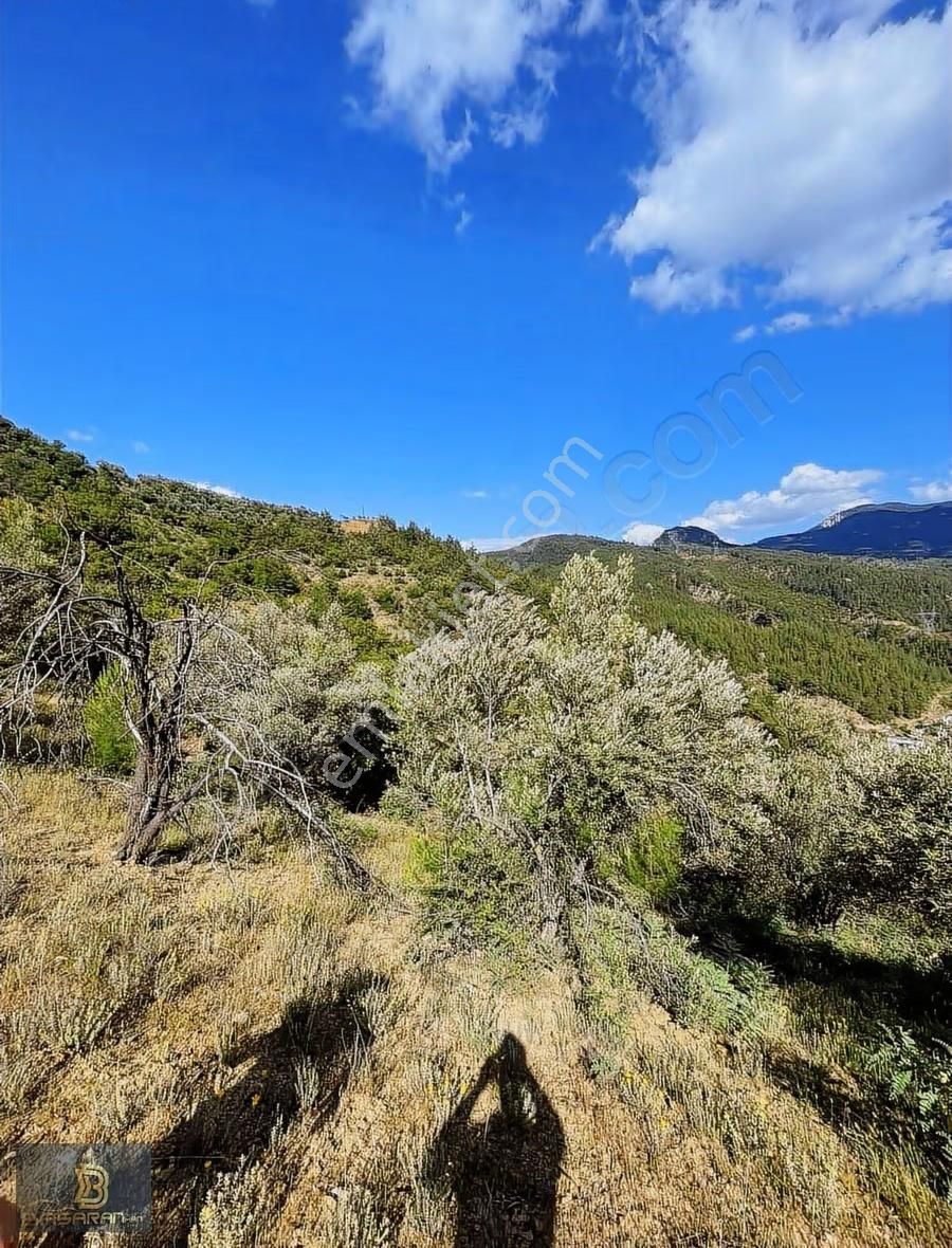 Alanya Gündoğmuş Eskibağ Mah. 4.978m2 Tarla - Görsel 11