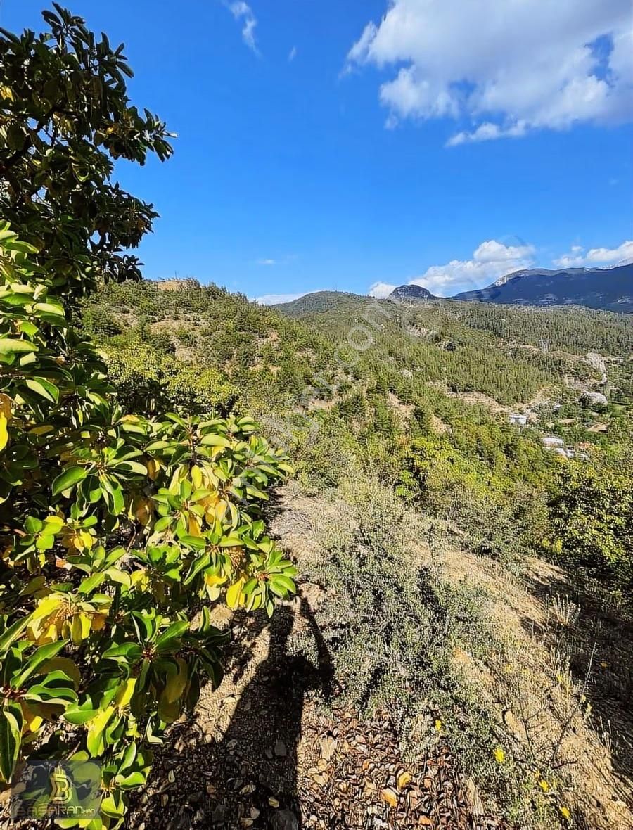 Alanya Gündoğmuş Eskibağ Mah. 4.978m2 Tarla - Görsel 5