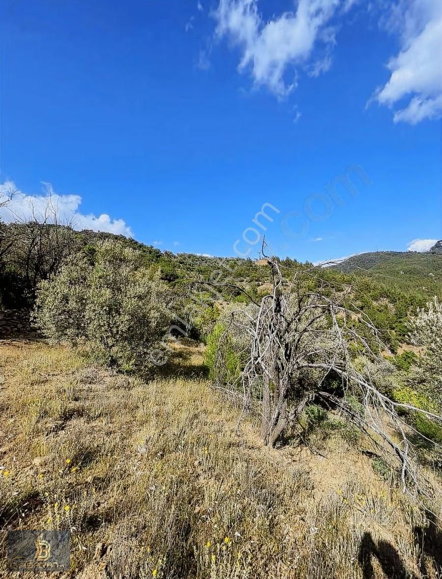 Alanya Gündoğmuş Eskibağ Mah. 4.978m2 Tarla - Görsel 15