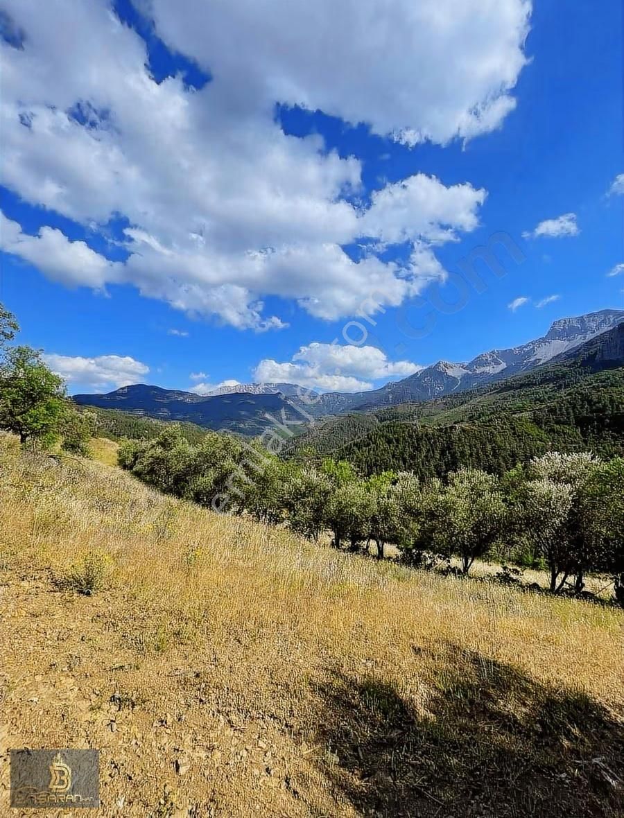 Alanya Gündoğmuş Eskibağ Mah. 4.978m2 Tarla - Görsel 4