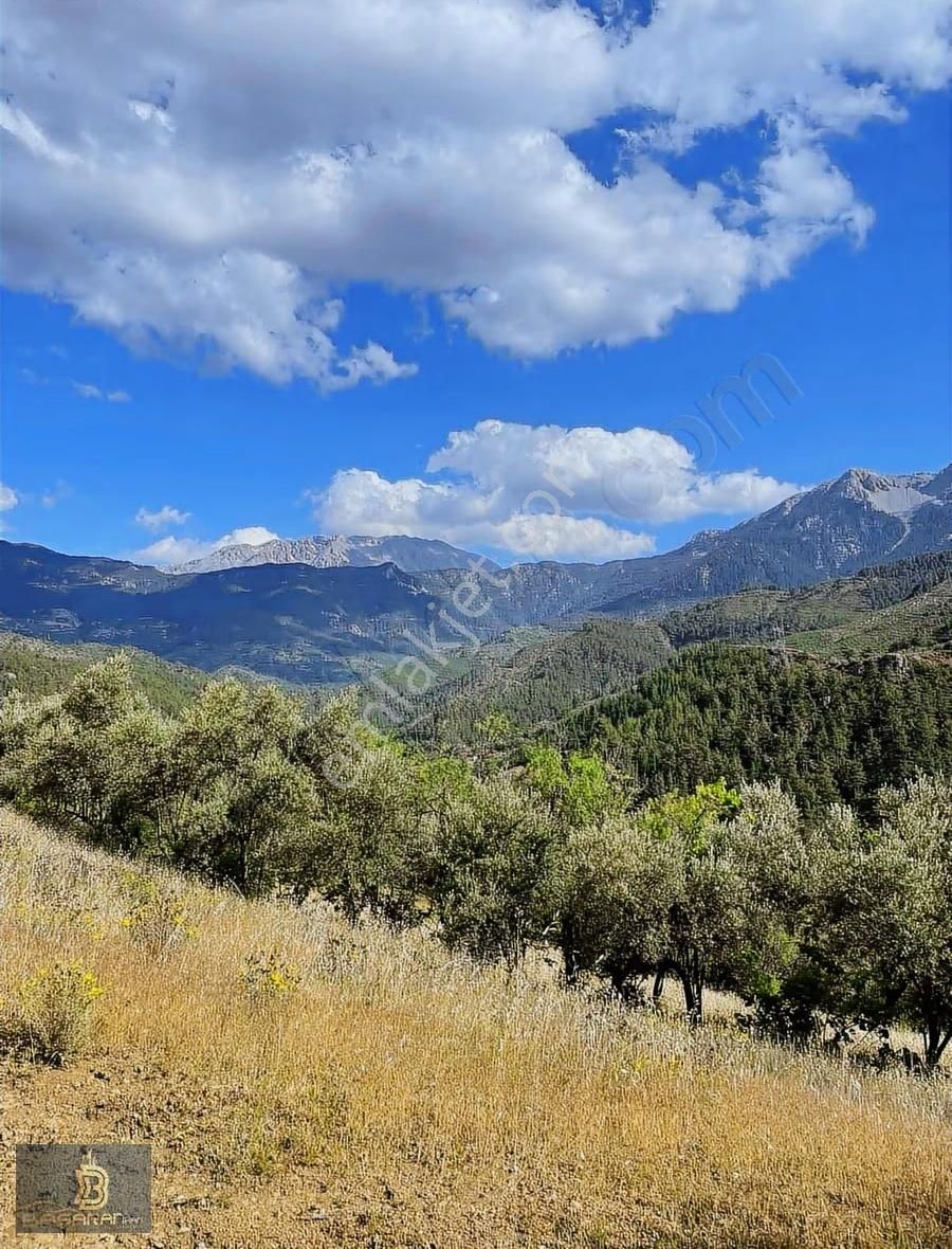 Alanya Gündoğmuş Eskibağ Mah. 4.978m2 Tarla - Görsel 13