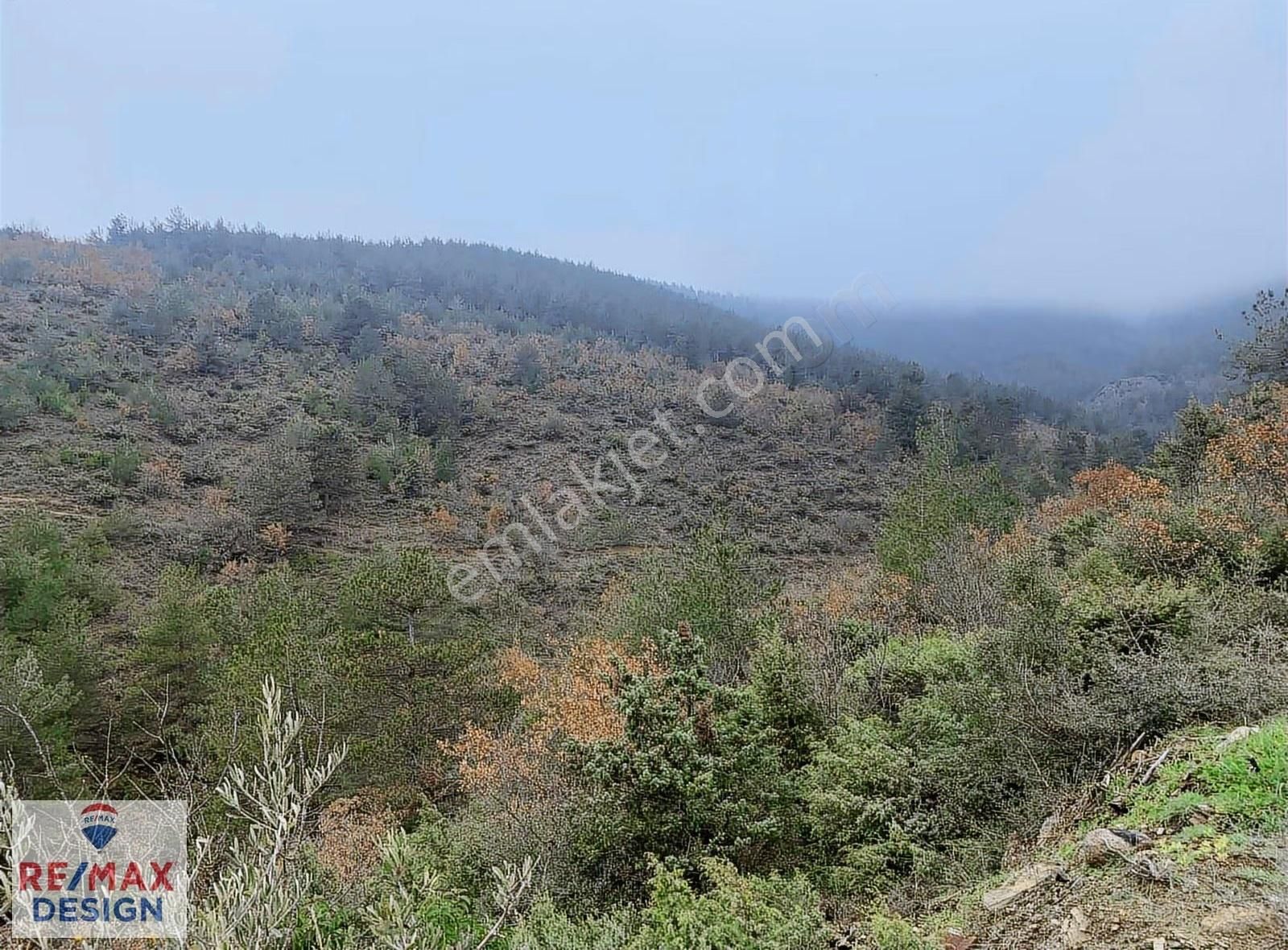 Sakarya Geyve İlçesi Burhaniye Mah. Satılık Tarla - Görsel 8