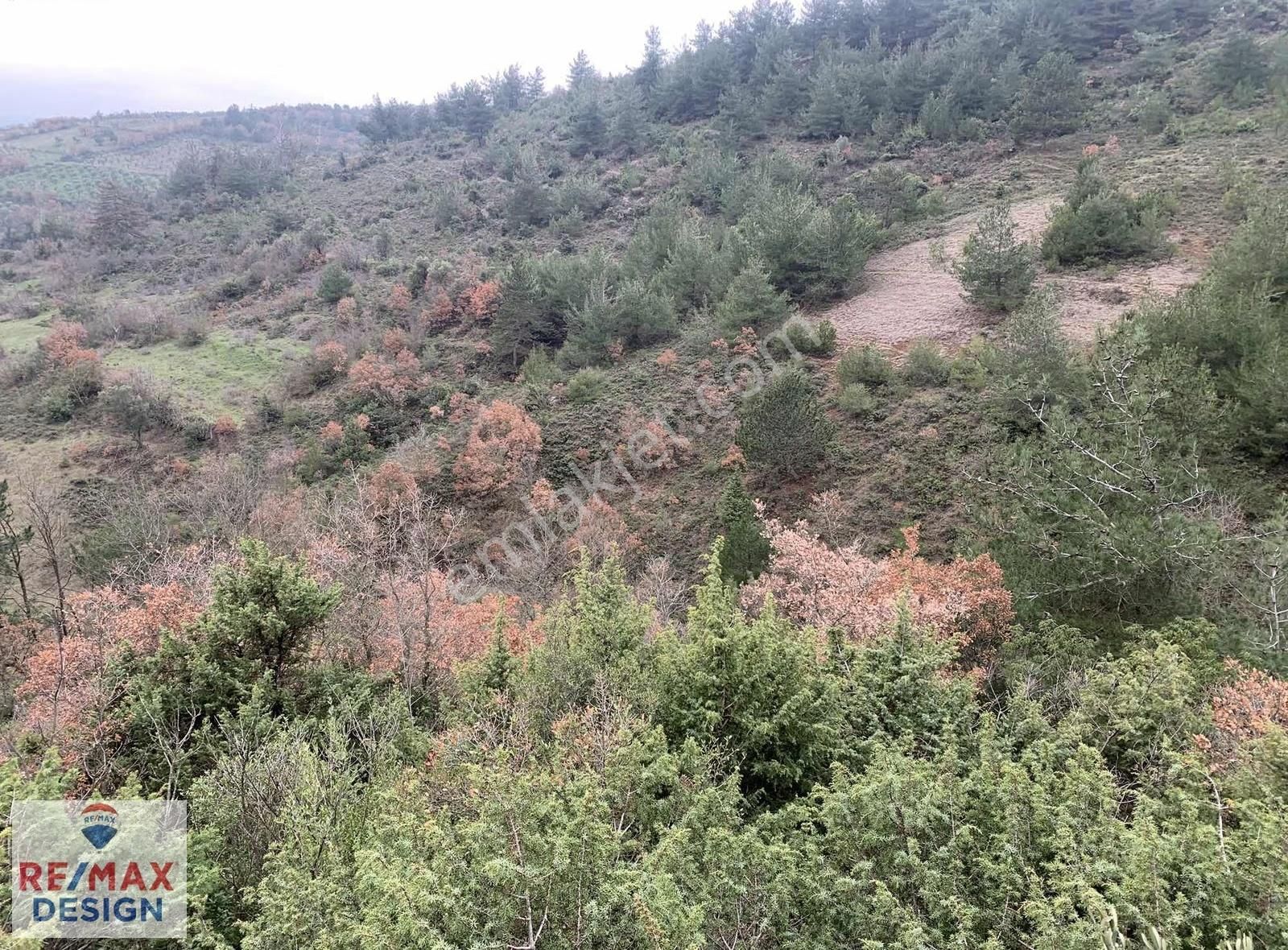 Sakarya Geyve İlçesi Burhaniye Mah. Satılık Tarla - Görsel 10