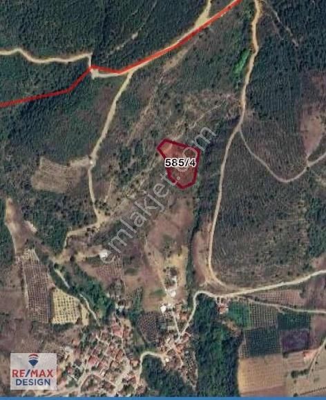 Sakarya Geyve İlçesi Burhaniye Mah. Satılık Tarla - Görsel 2