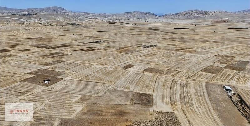 Satılık Tarla: 5.664m² Ana Yola Yakın Yatırım Fırsatı - Görsel 2