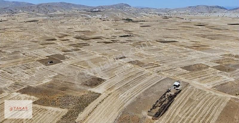 Satılık Tarla: 5.664m² Ana Yola Yakın Yatırım Fırsatı - Görsel 3