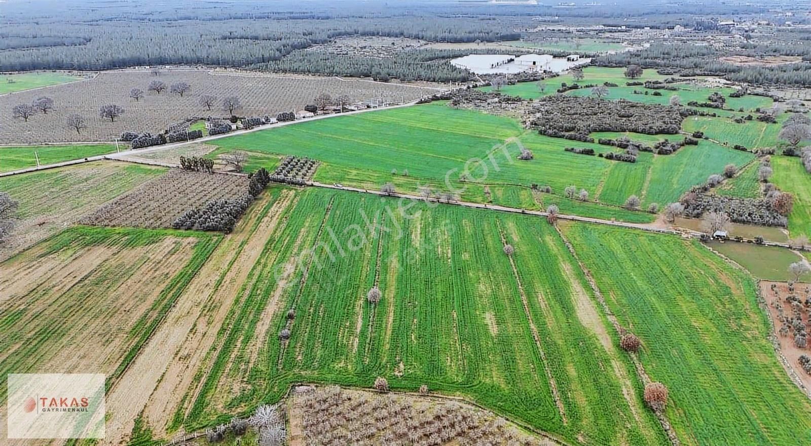 Sanayi Bölgesine Yakın Yerler Ayrılmış 6.000m2 Satılıktarla - Görsel 3