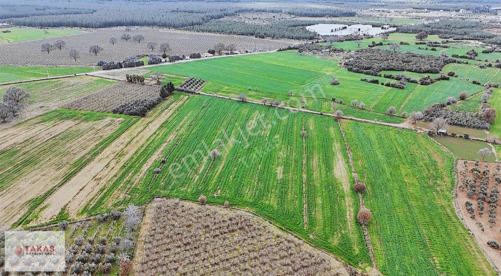 Sanayi Bölgesine Yakın Yerler Ayrılmış 6.000m2 Satılıktarla