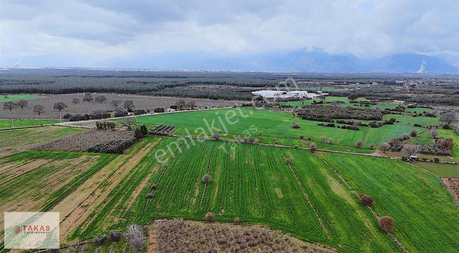 Sanayi Bölgesine Yakın Yerler Ayrılmış 6.000m2 Satılıktarla - Görsel 2