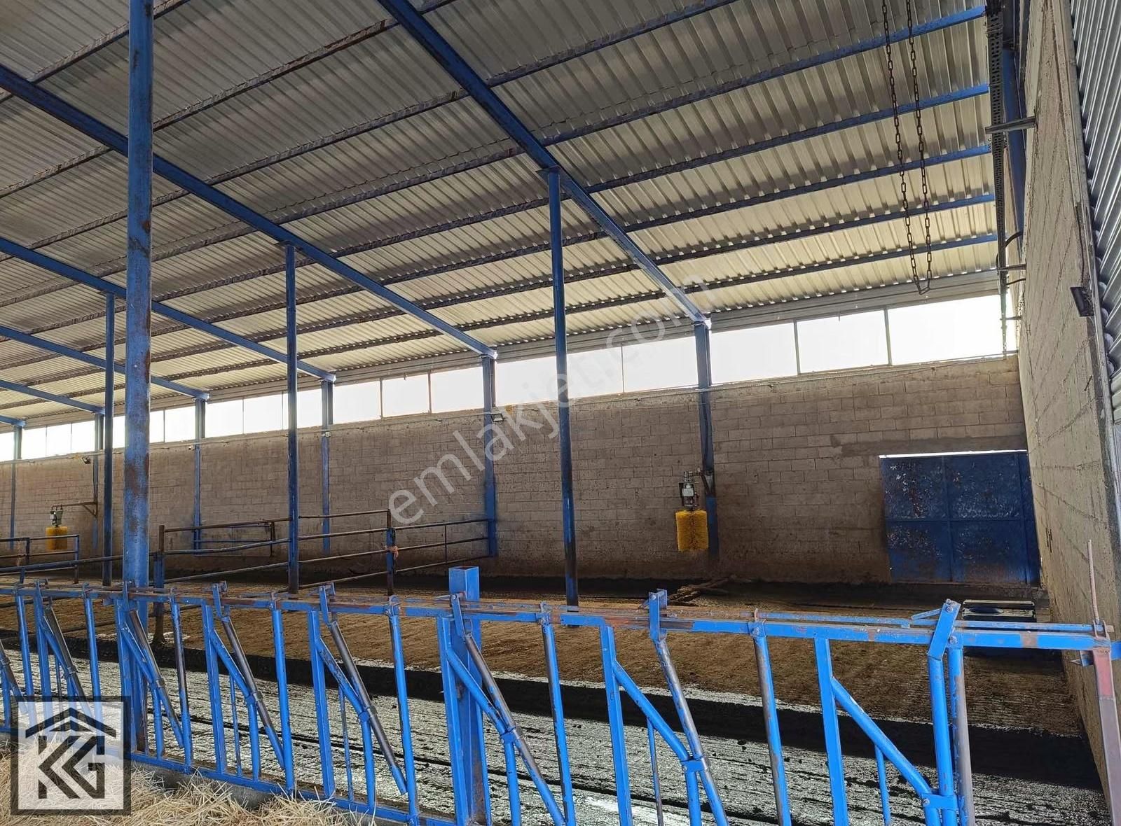Konya Karatay Yenikent Mahallesinde Eksiksiz Kurulu Çiftlik - Görsel 15