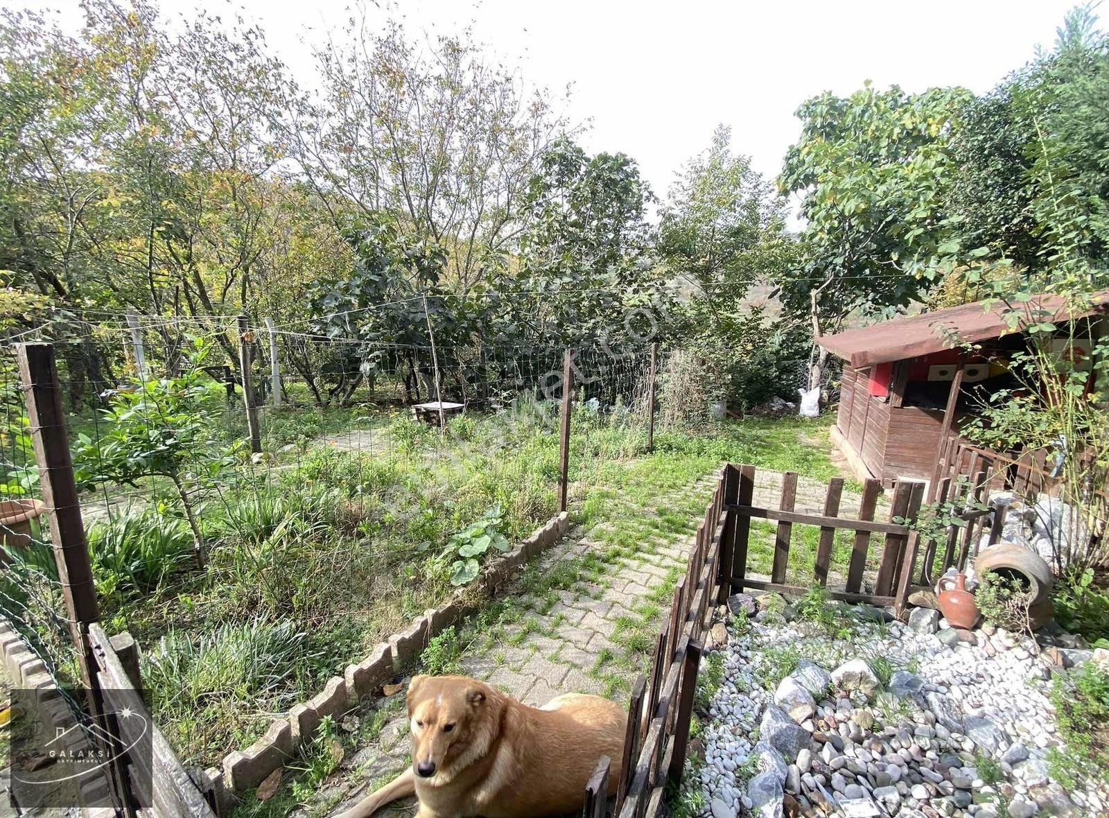 Şehir İçinde Bahçeli Yaşam! Beşköprü'de Satılık 2+1 Daire - Görsel 34