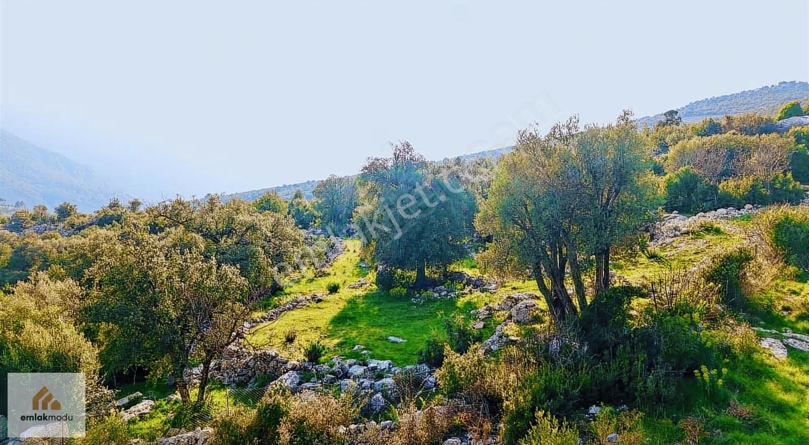 Seydikemer Arsa'da Tek Tapu Manzaralı Tarla - Görsel 11