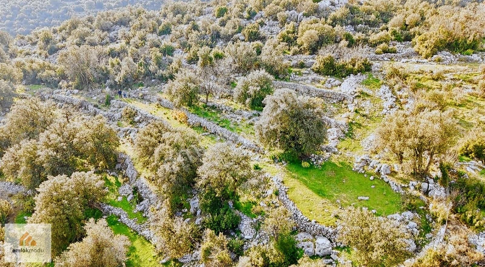 Seydikemer Arsa'da Tek Tapu Manzaralı Tarla - Görsel 12