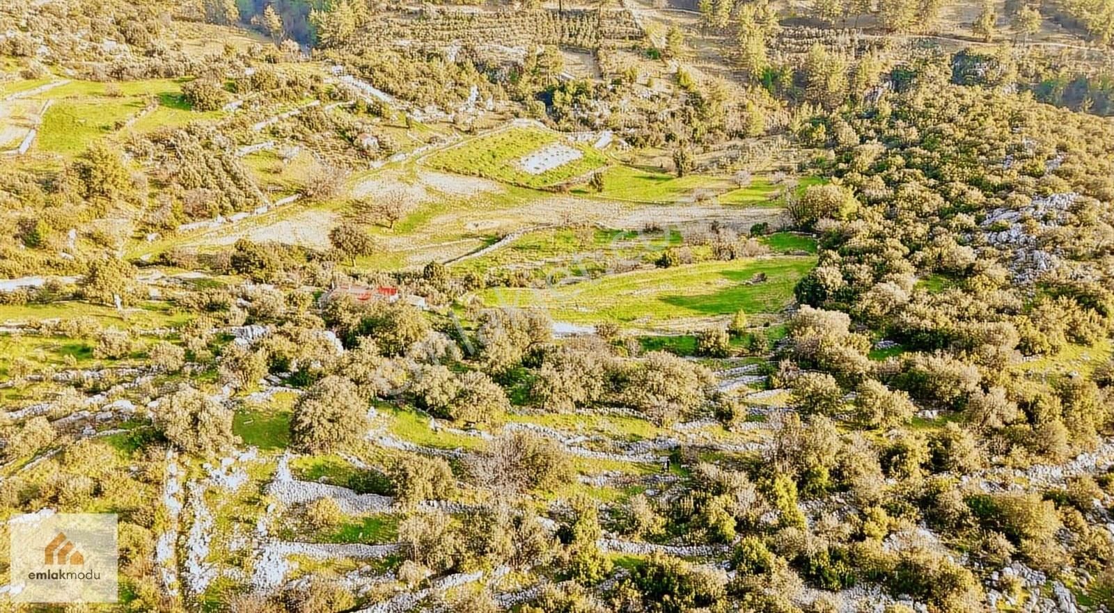 Seydikemer Arsa'da Tek Tapu Manzaralı Tarla - Görsel 6
