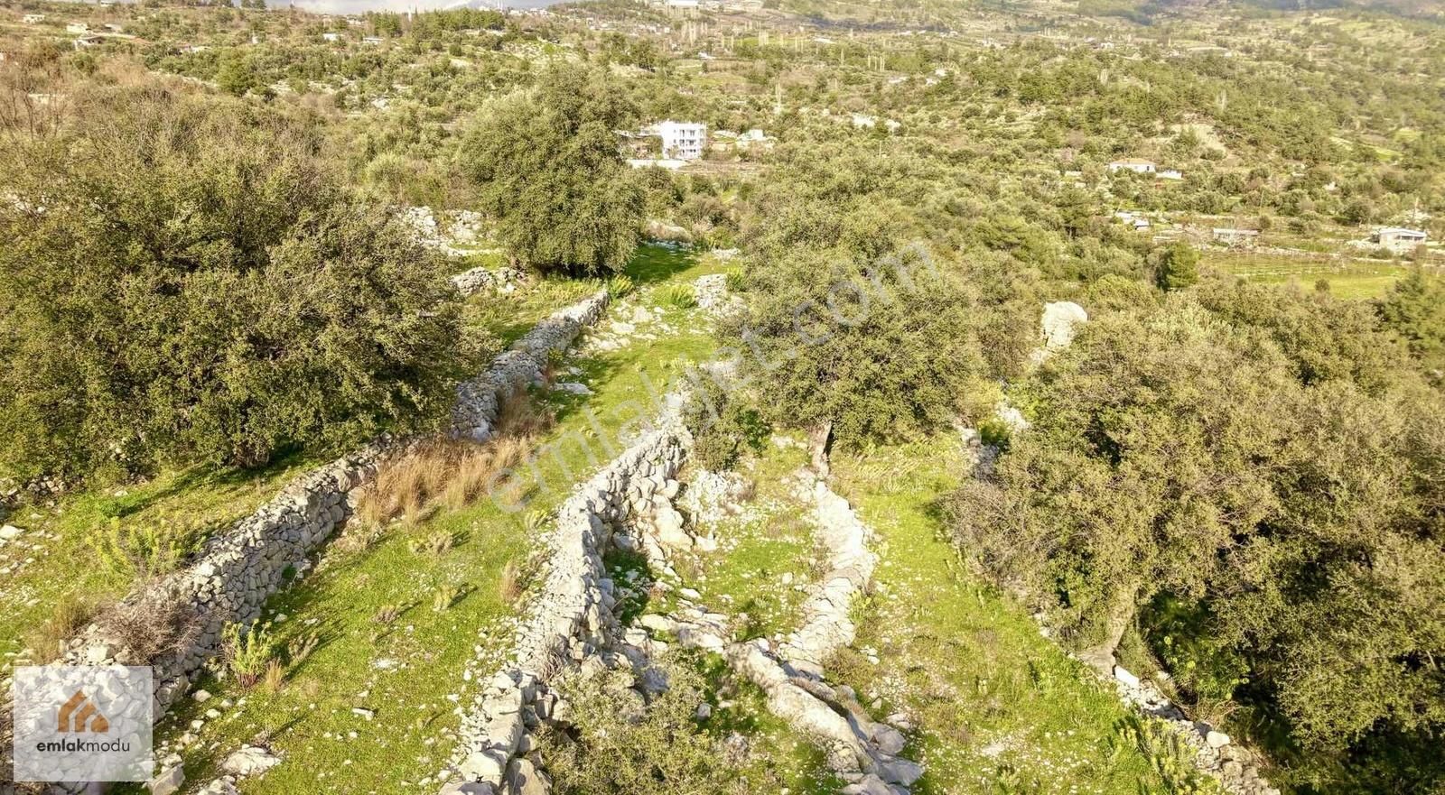 Seydikemer Arsa'da Tek Tapu Manzaralı Tarla - Görsel 9