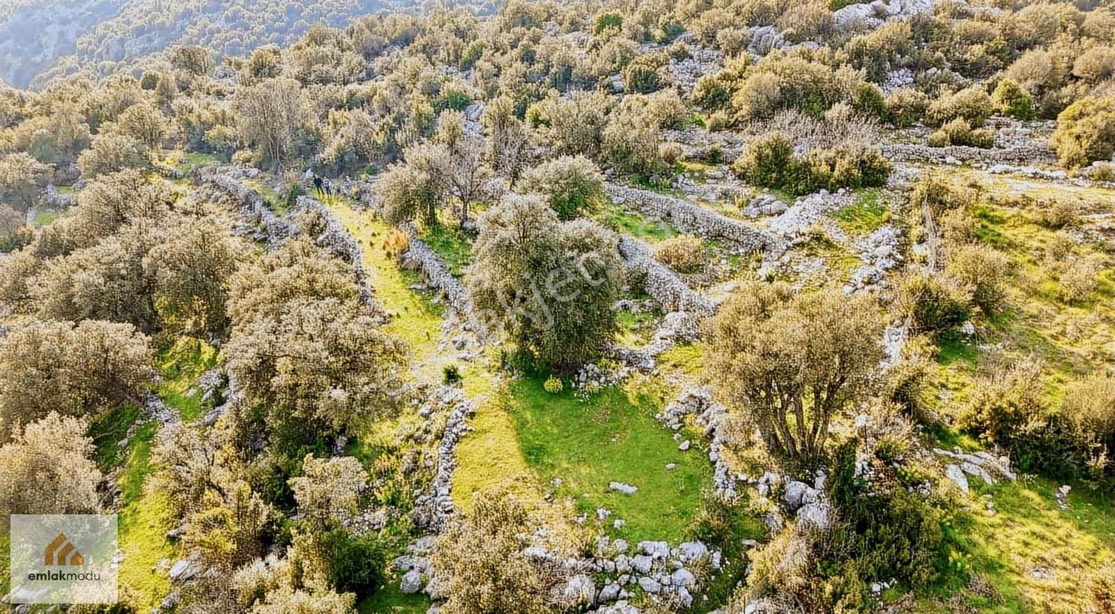 Seydikemer Arsa'da Tek Tapu Manzaralı Tarla - Görsel 4