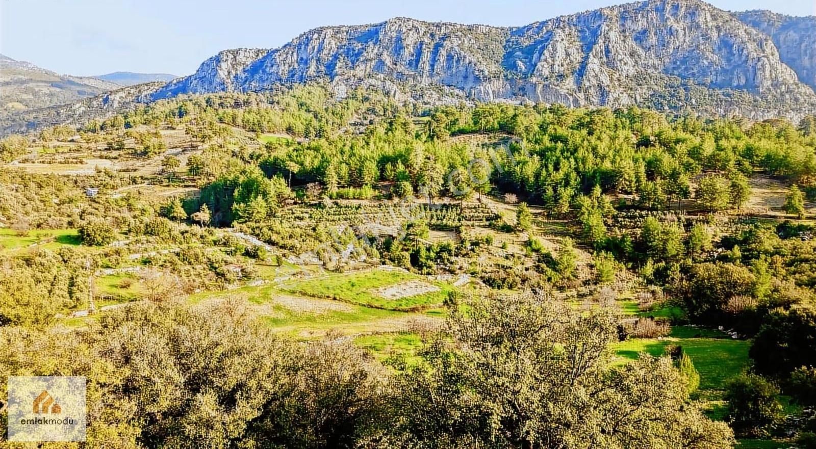 Seydikemer Arsa'da Tek Tapu Manzaralı Tarla