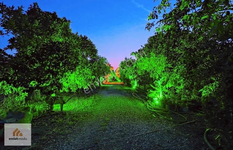 Fethiye Merkezi Lokasyonda 2+1 Eşyalı Müstakil Villa - Görsel 6