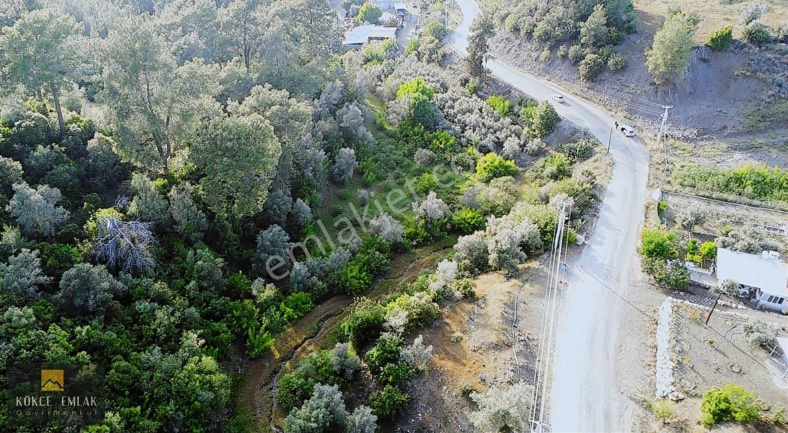 Kökce'den Toptaş Dalca Yolunda 3150 M2 Müstakil Tapulu Tarla - Görsel 5