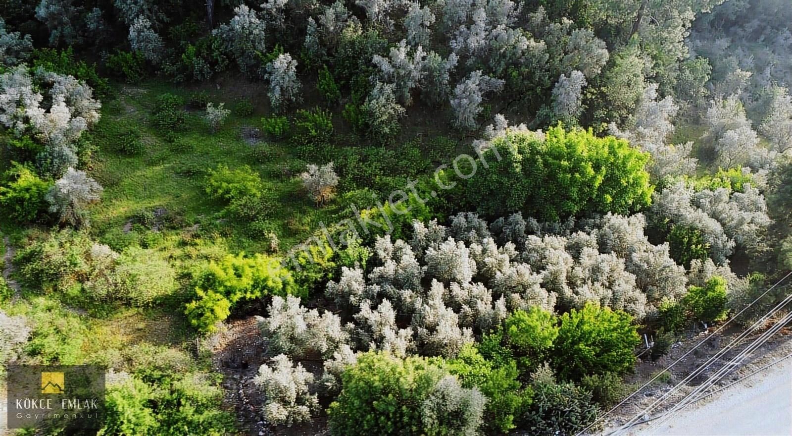 Kökce'den Toptaş Dalca Yolunda 3150 M2 Müstakil Tapulu Tarla - Görsel 10