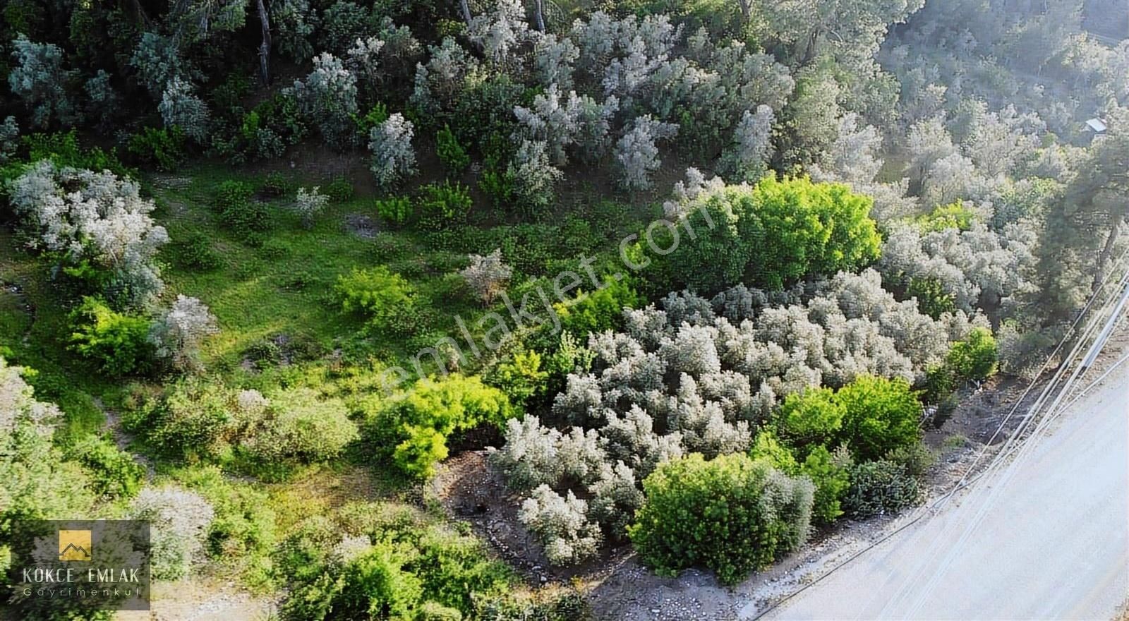 Kökce'den Toptaş Dalca Yolunda 3150 M2 Müstakil Tapulu Tarla - Görsel 34