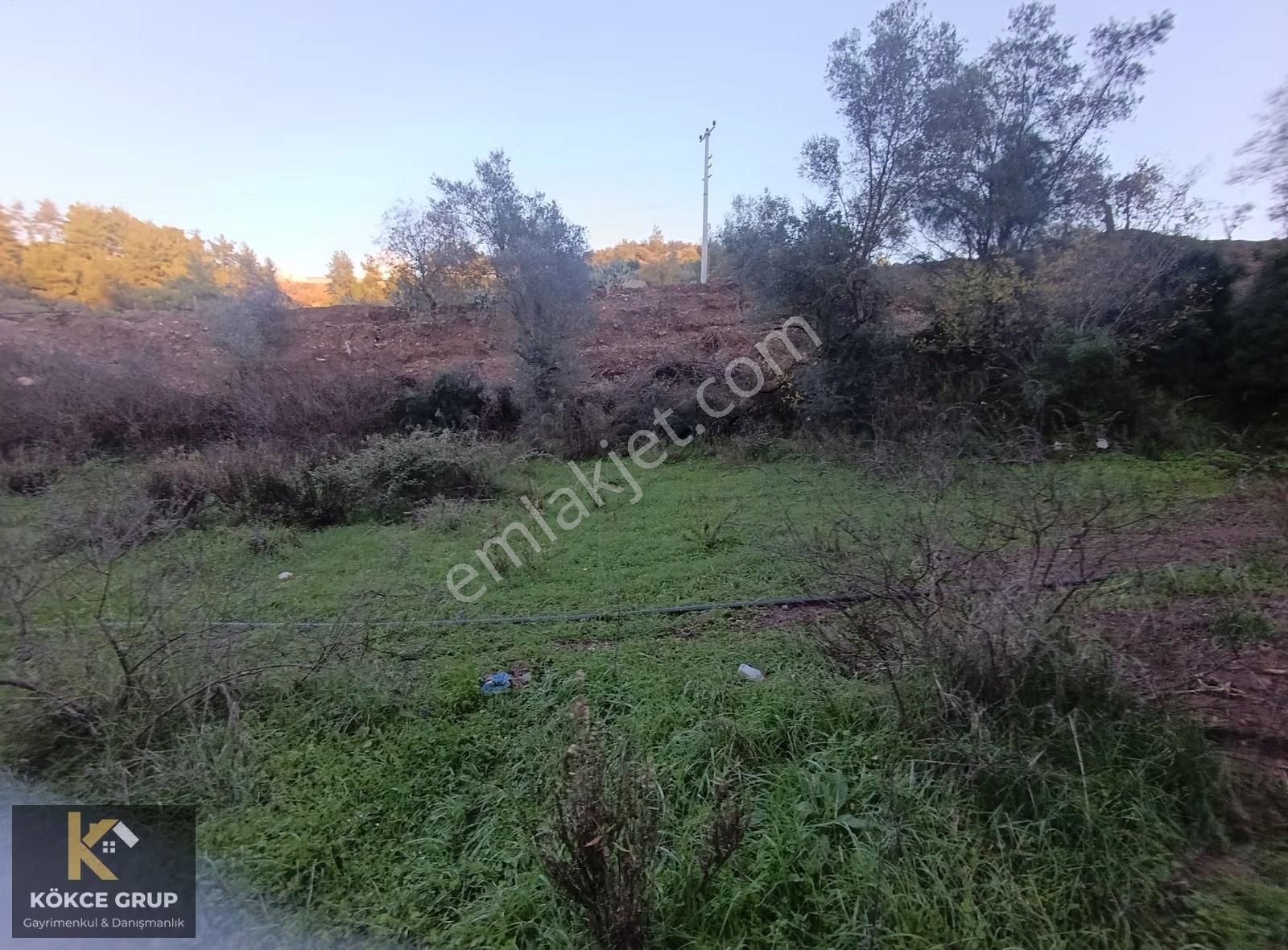 Kökce'den Toptaş Dalca Yolunda 3150 M2 Müstakil Tapulu Tarla - Görsel 15