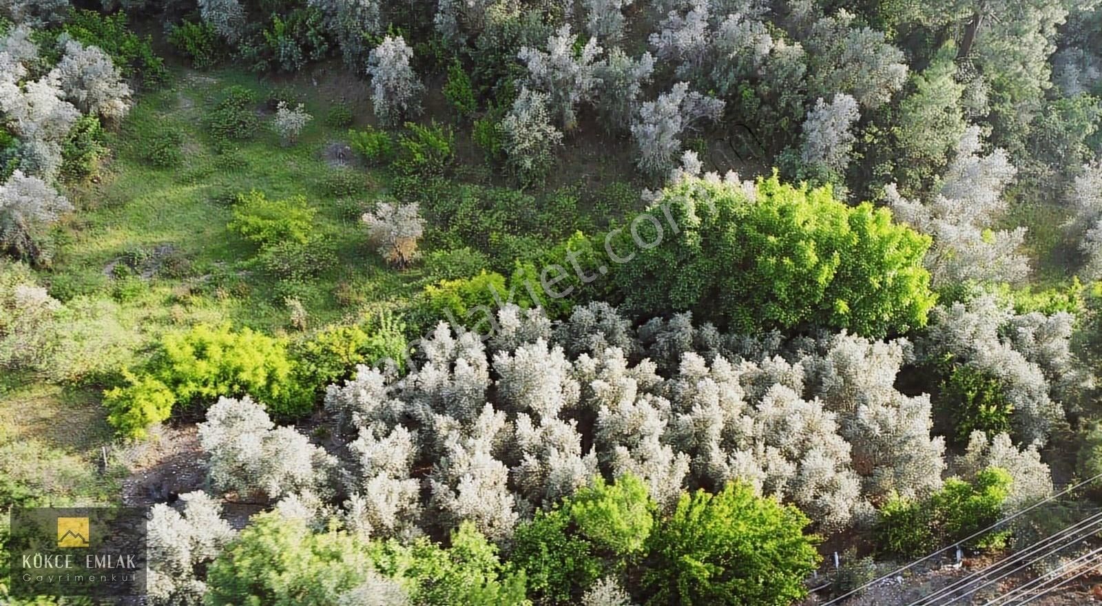Kökce'den Toptaş Dalca Yolunda 3150 M2 Müstakil Tapulu Tarla - Görsel 23