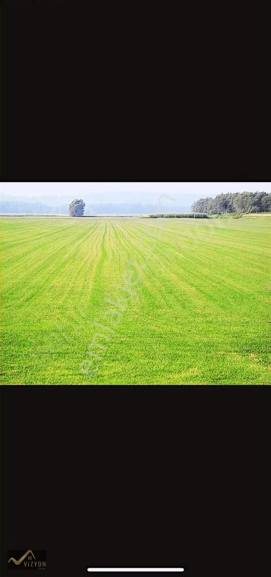 Vizyon Emlaktan Derince Çavuşluda 14.715 M² - Görsel 6