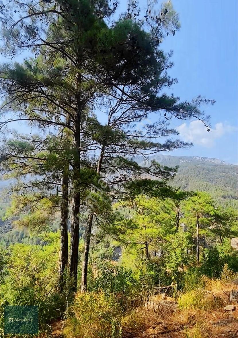 Alwin Group Yatırımlık Tarla