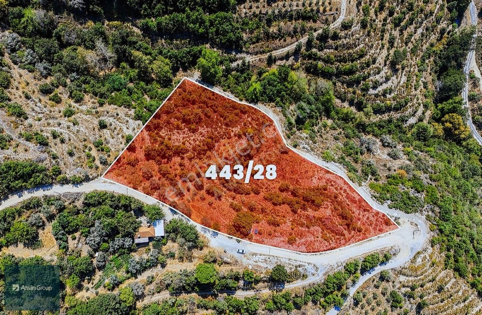 Mahmutseydi Mahallesinde Satılık Müstakil Tarla