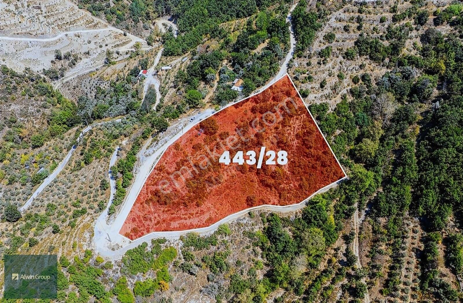 Mahmutseydi Mahallesinde Satılık Müstakil Tarla - Görsel 2