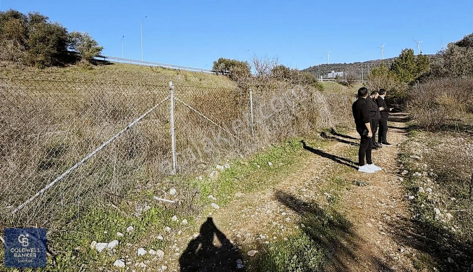 Urla Zeytinlerde Yola Cepheli 7503 M2 Zeytin Ağaçlı Tarla - Görsel 21
