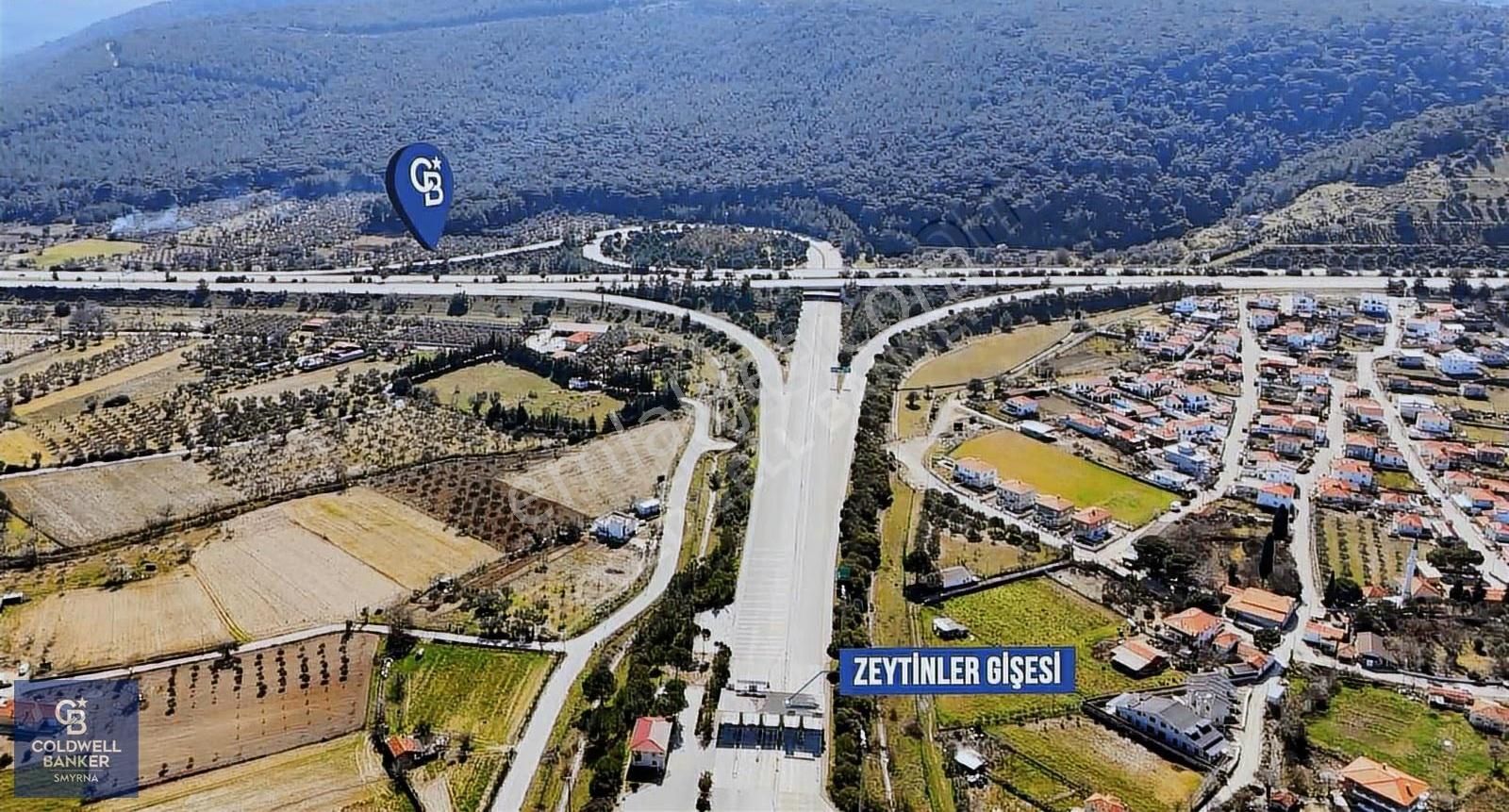 Urla Zeytinlerde Yola Cepheli 7503 M2 Zeytin Ağaçlı Tarla - Görsel 23