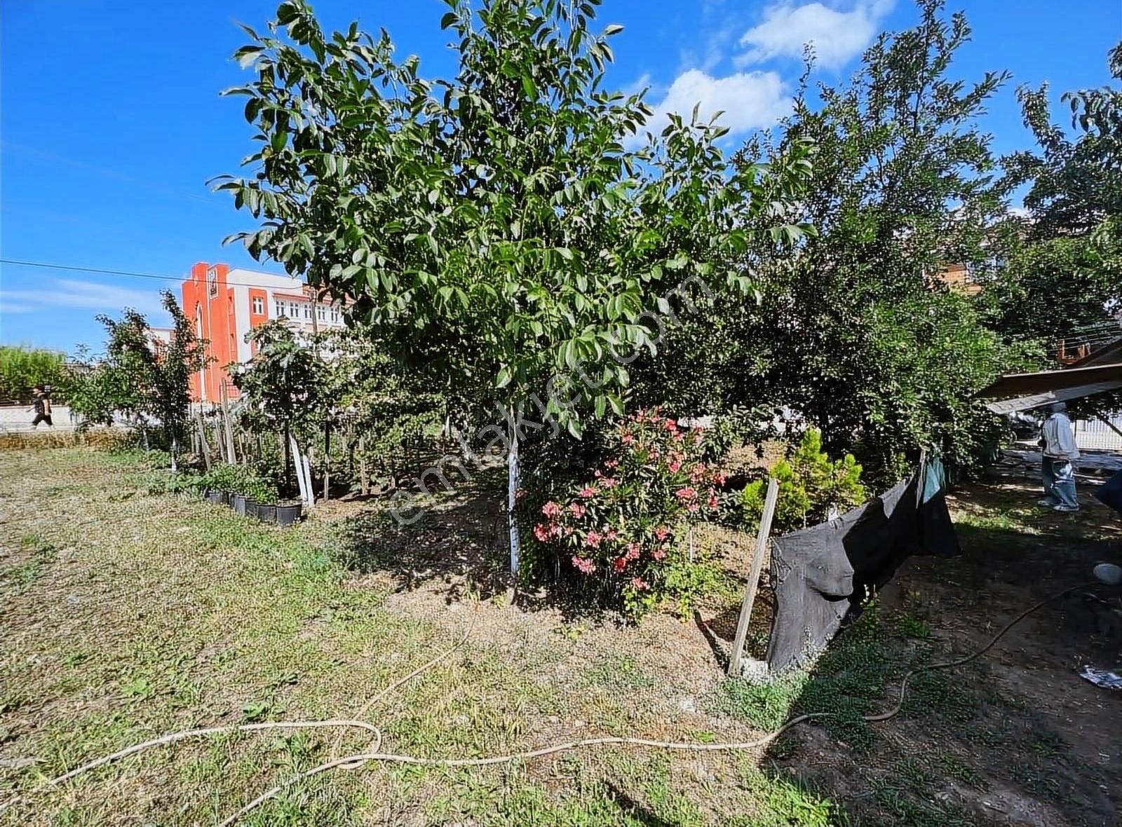 Tekirdağ Ergene'de Satılık Ticari+konut İmarlı Köşe Parsel Arsa - Görsel 5