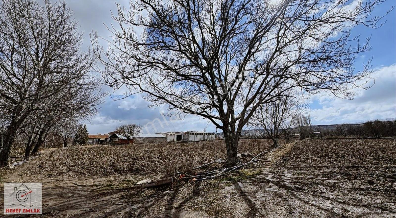 Hedef Emlak'tan Sülün Mevkii 3 Parsel Satılık 16.345 M2 Arazi - Görsel 17
