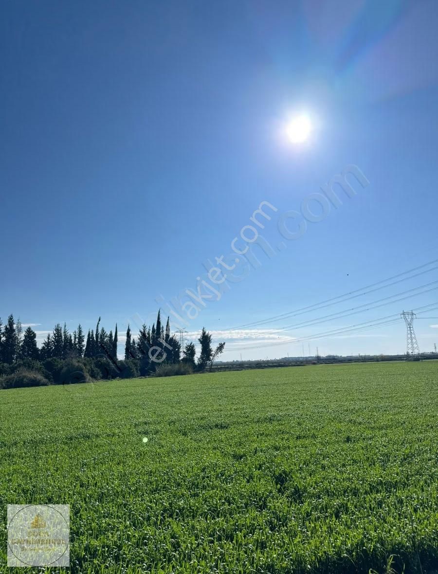 Expoya 950 Mt | Aksu Çayına Cephe | 6.987 M² Satılık Tarla - Görsel 9