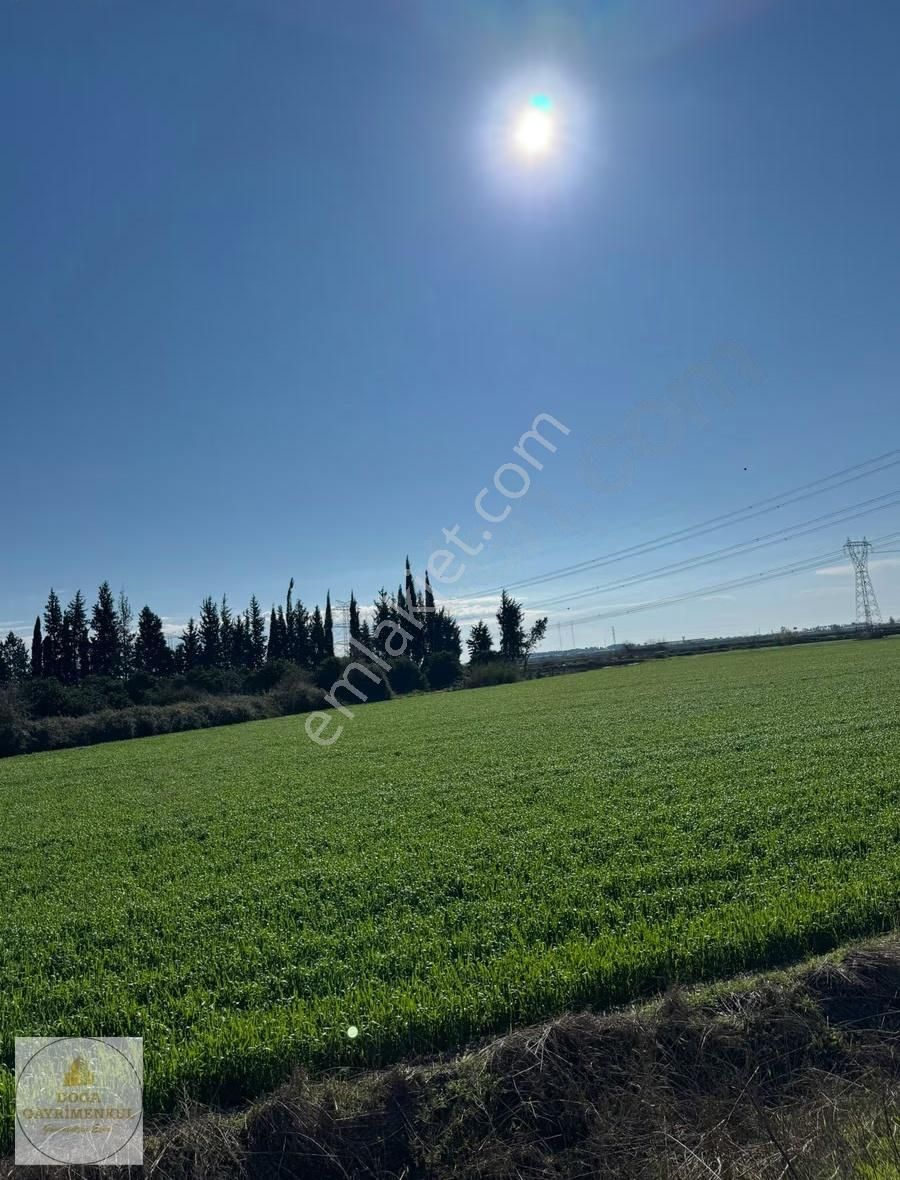 Aksu Solak Mh. D400e 950 M | 4.194 M² Yatırımlık Tarla - Görsel 4