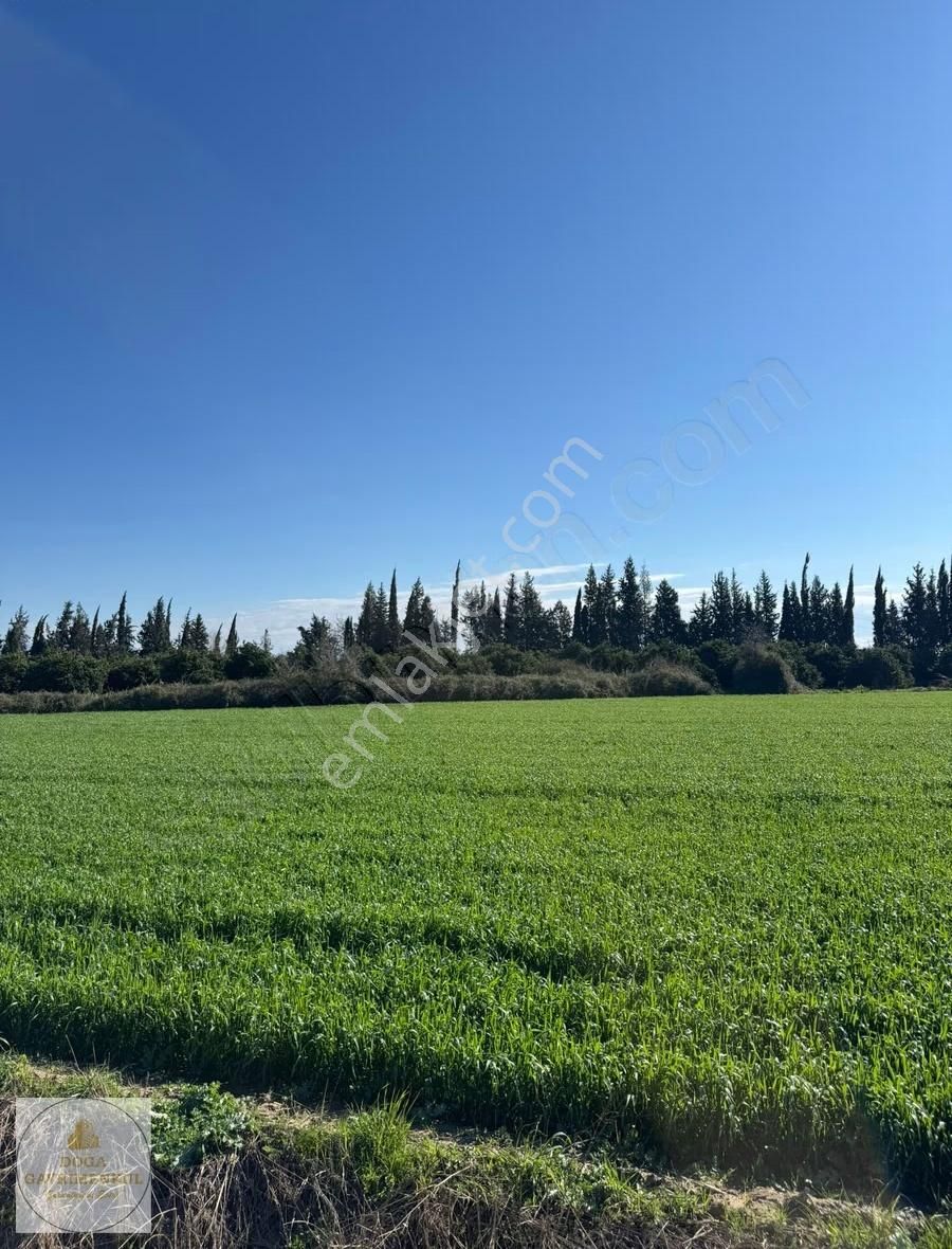 Aksu Solak Mh. D400e 950 M | 4.194 M² Yatırımlık Tarla - Görsel 5