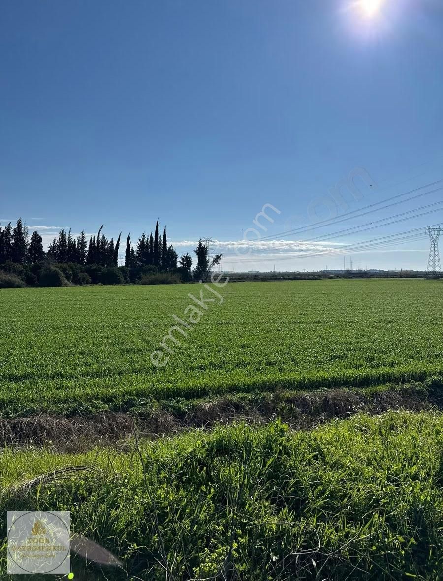 Aksu Solak Mh. D400e 950 M | 4.194 M² Yatırımlık Tarla - Görsel 11