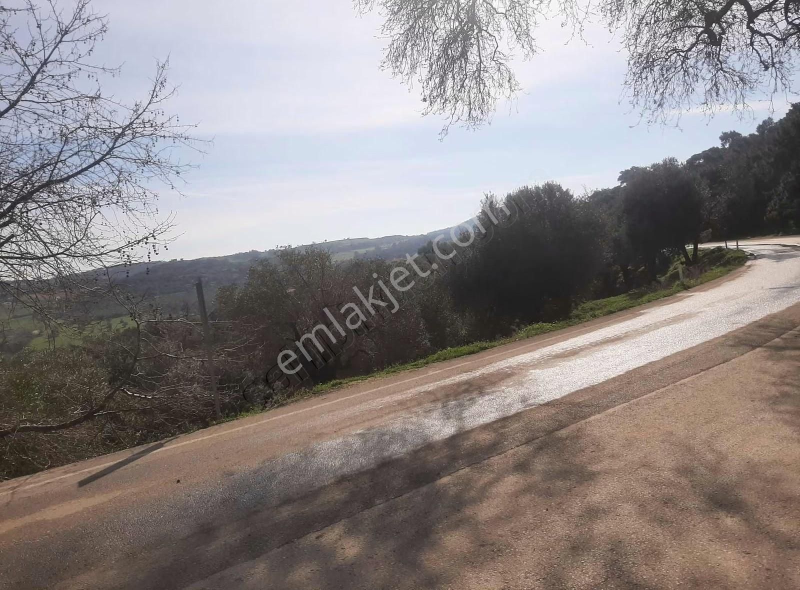 Canyurt Gayrimenkul Den Kozbeyli De Satılık Arsa - Görsel 7