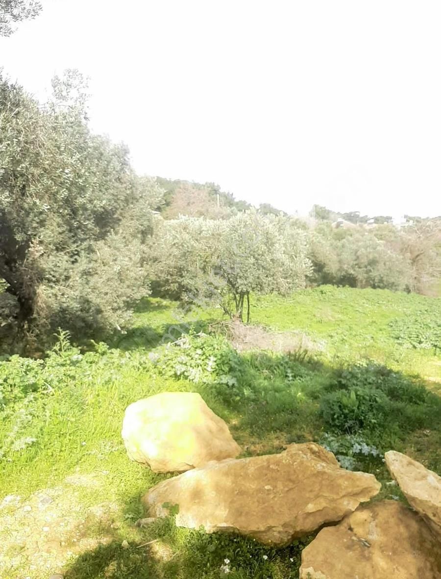 Canyurt Gayrimenkul Den Kozbeyli De Satılık Arsa - Görsel 5