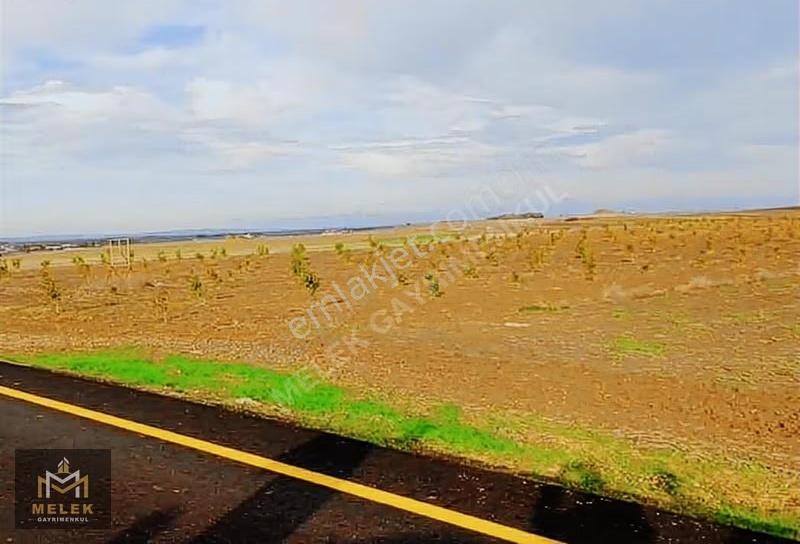 Melek Gayrimenkulden Tekirdağ'da Fırsat Arsa