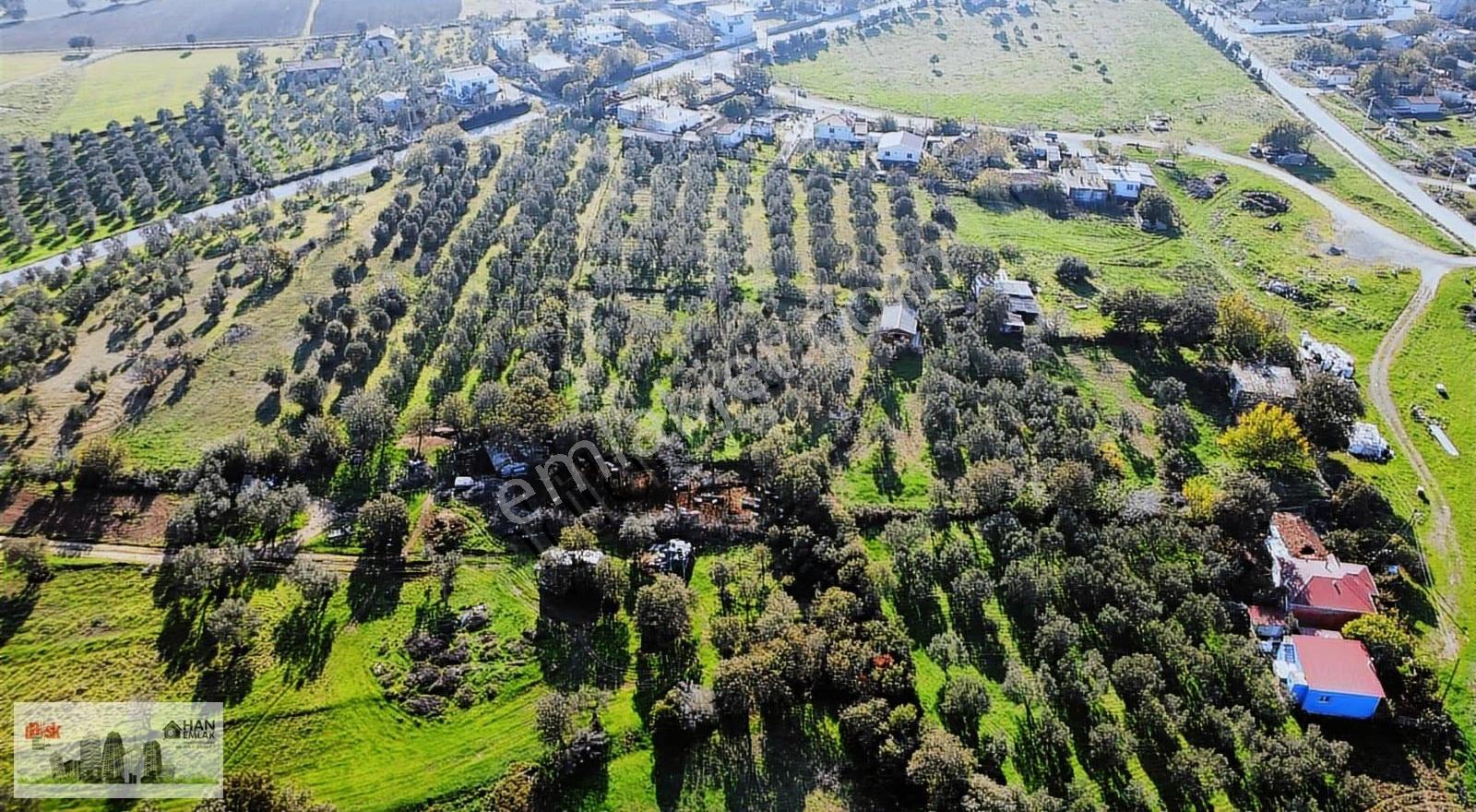 Han Emlak'tan Kooperatiflik Yer Üvecik Köyünde Satılık Arsa - Görsel 10