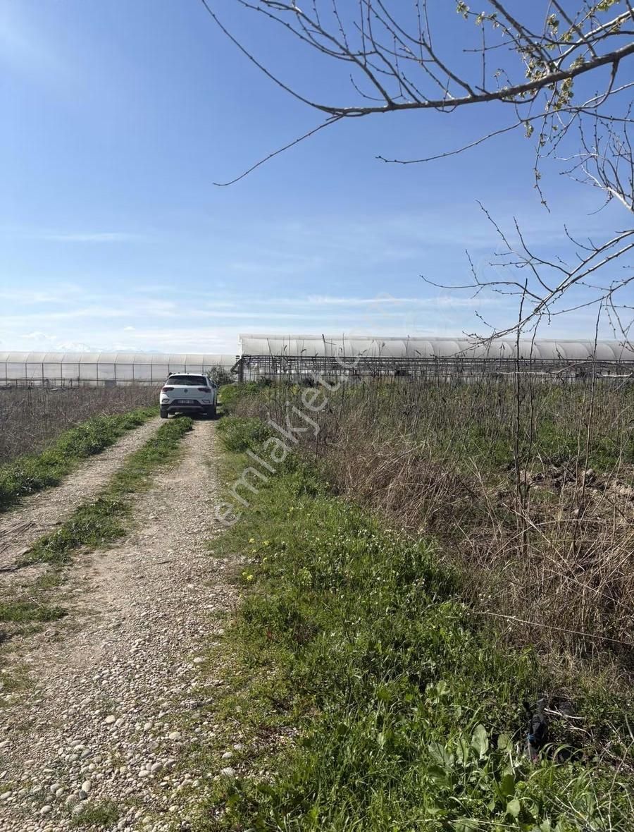 Aksu Kumköy'de Müstakil 4.594 M2 İçinde Sera Olan Satılık Tarla - Görsel 3