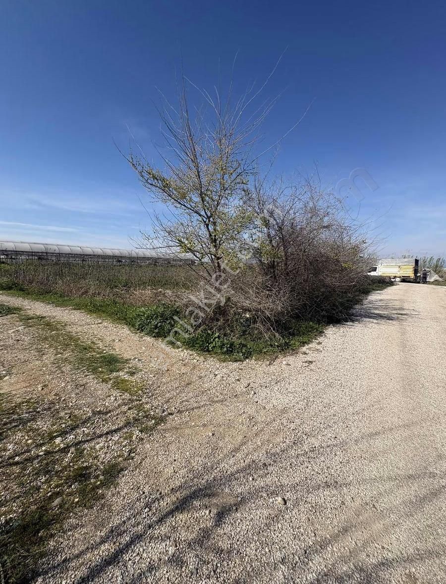 Aksu Kumköy'de Müstakil 4.594 M2 İçinde Sera Olan Satılık Tarla - Görsel 2