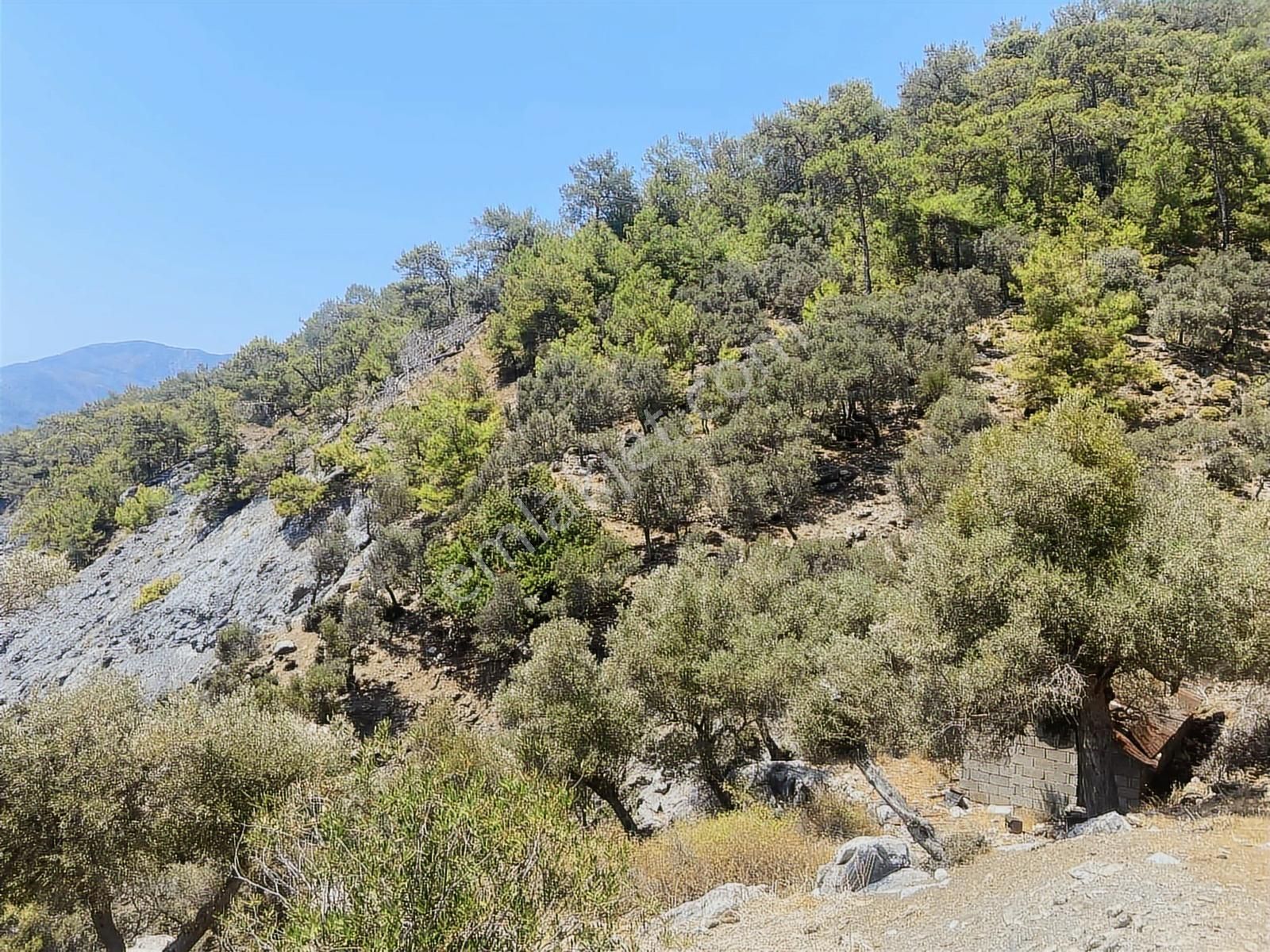 Nysa Emlak'tan Köyceğiz Çandır Mh Denize Sıfır 2.880 M2 2b Arazi - Görsel 14