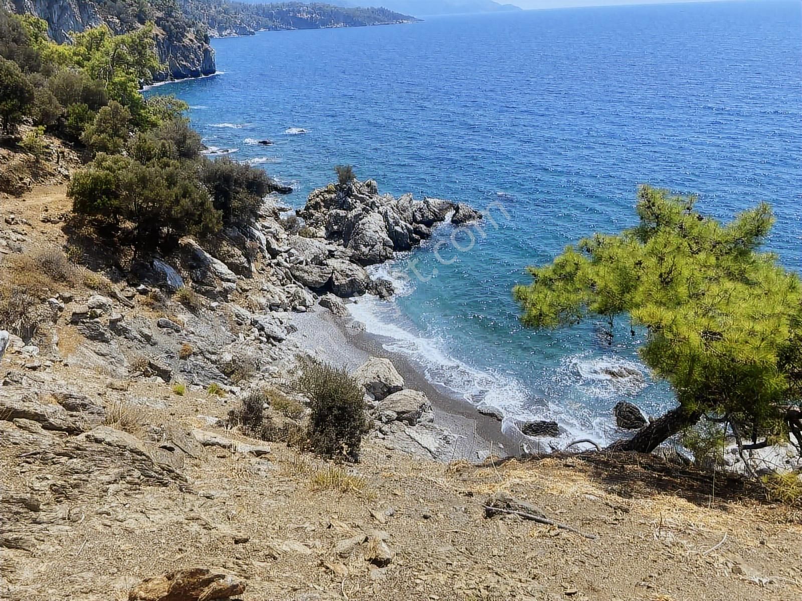 Nysa Emlak'tan Köyceğiz Çandır Mh Denize Sıfır 2.880 M2 2b Arazi - Görsel 2