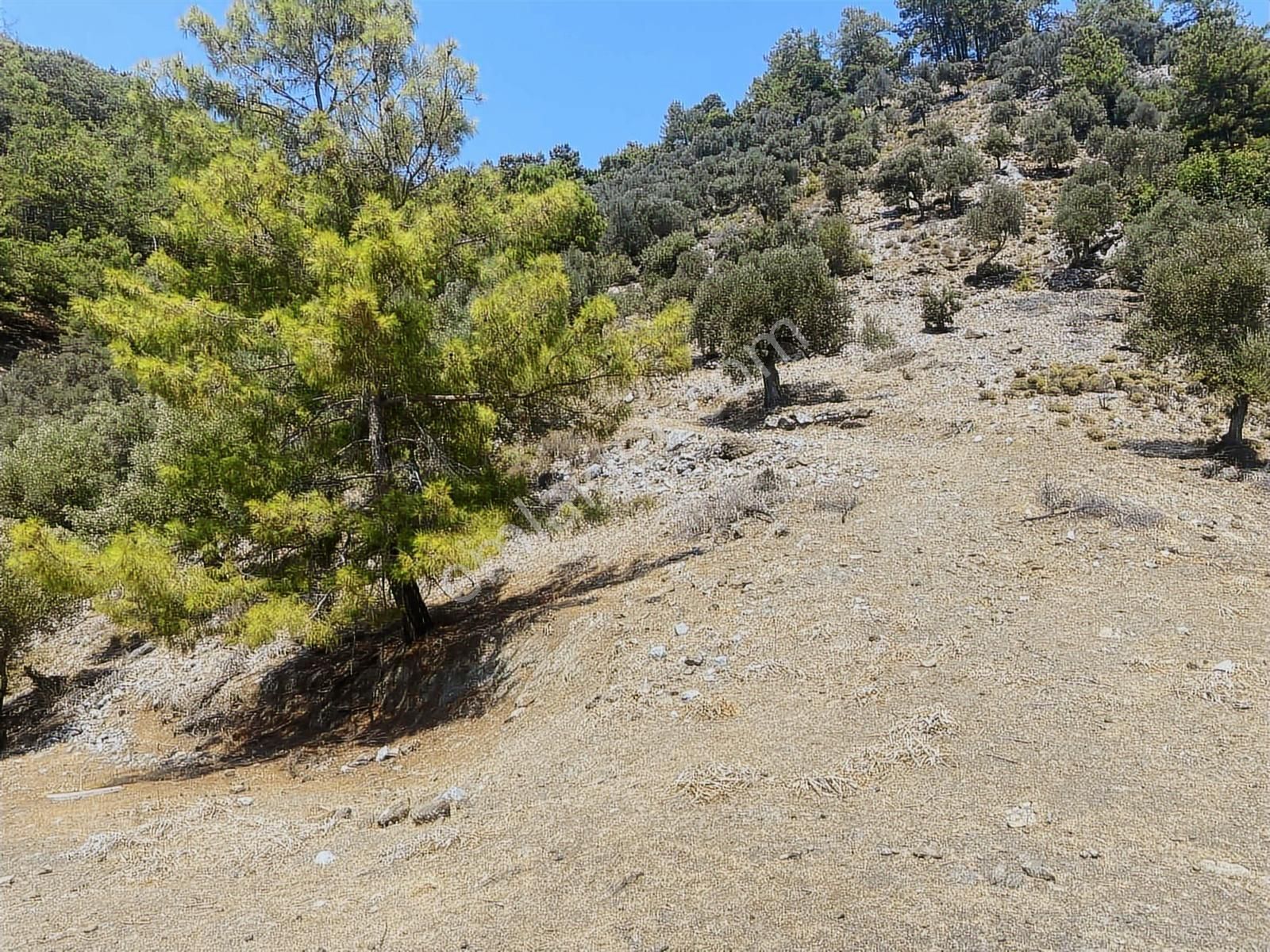 Nysa Emlak'tan Köyceğiz Çandır Mh Denize Sıfır 2.880 M2 2b Arazi - Görsel 6