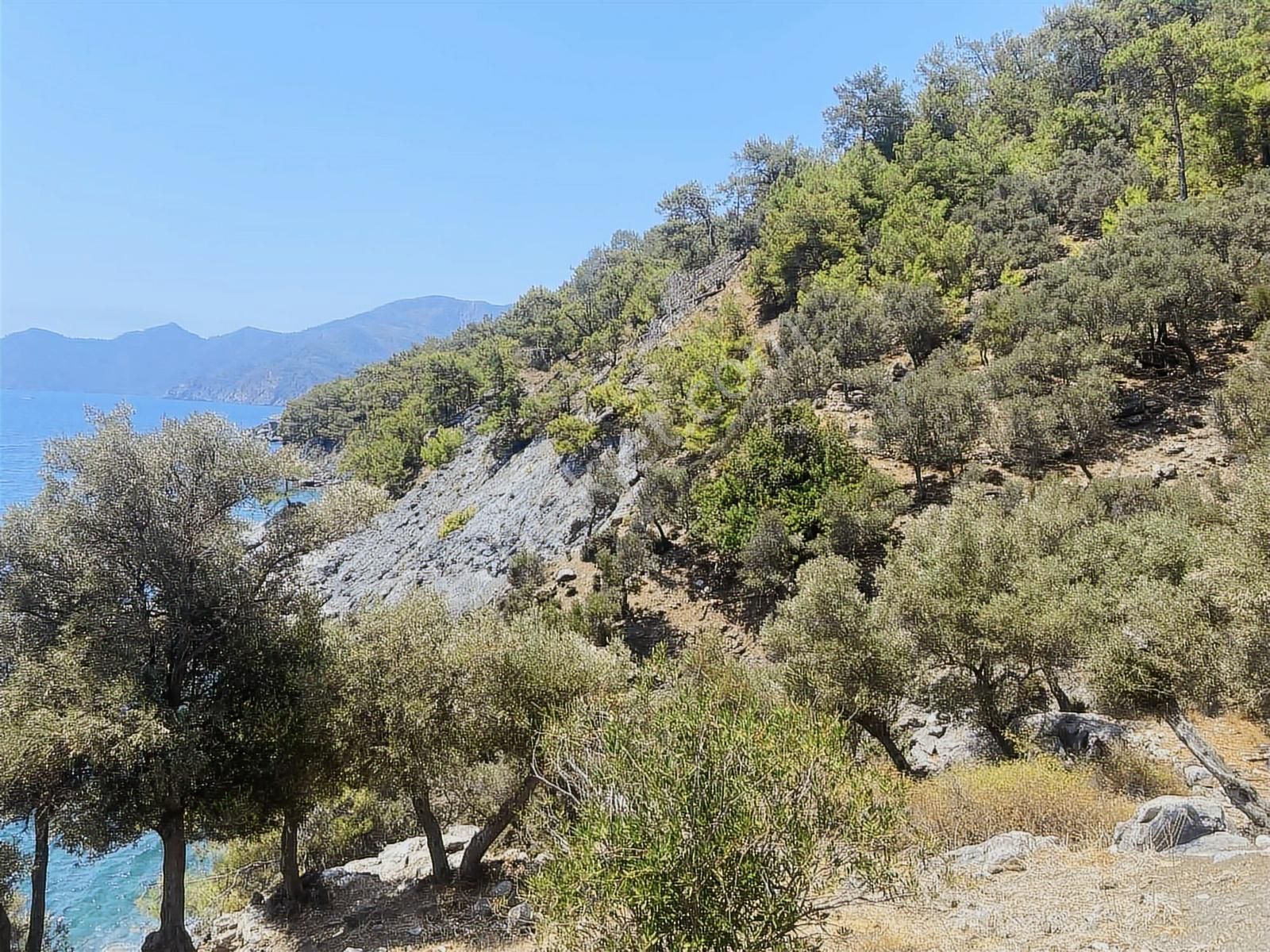 Nysa Emlak'tan Köyceğiz Çandır Mh Denize Sıfır 2.880 M2 2b Arazi - Görsel 4