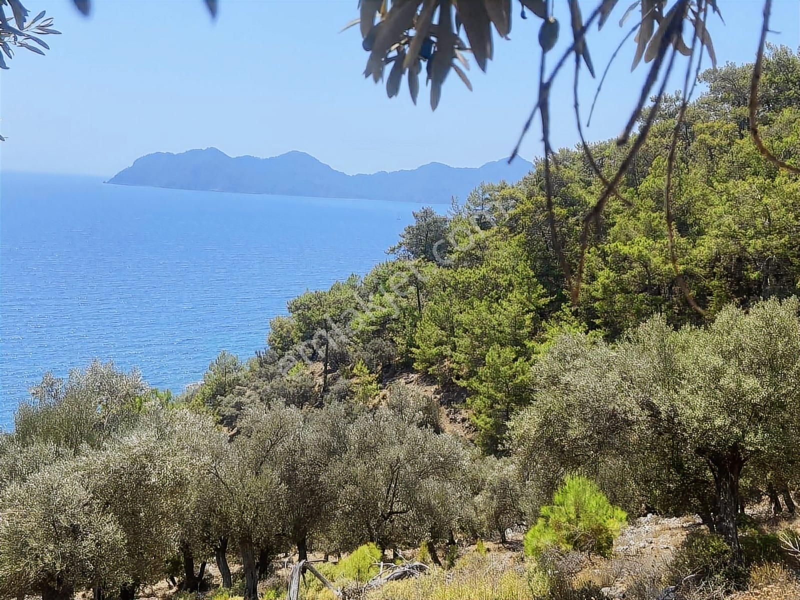 Nysa Emlak'tan Köyceğiz Çandır Mh Denize Sıfır 2.880 M2 2b Arazi - Görsel 3